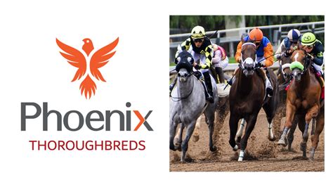 aml horse racing|AML Official channel – Telegram.